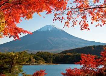 6D3N VD Best of Tokyo + Mt. Fuji